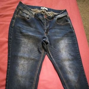 Blue Midrise Skinny Jeans|Encore brand